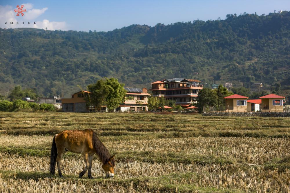 Vue de la propriété Vue de la propriété