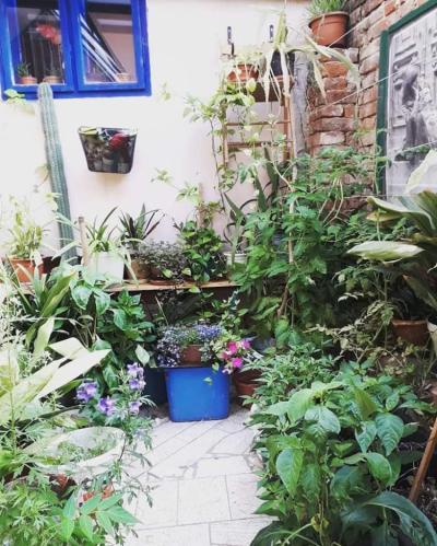 Patio Image
